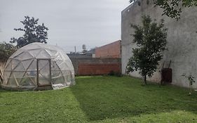 Ala de Colibri
